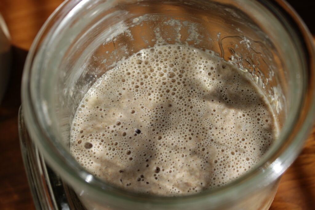 Fresh sourdough starter bubbling in a glass mason jar on a kitchen counter.