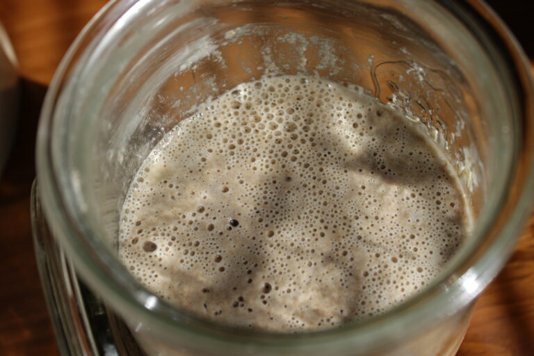Fresh sourdough starter bubbling in a glass mason jar on a kitchen counter.